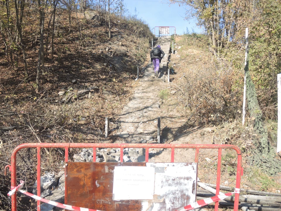 Смельчаки все равно карабкаются по опасной лестнице.