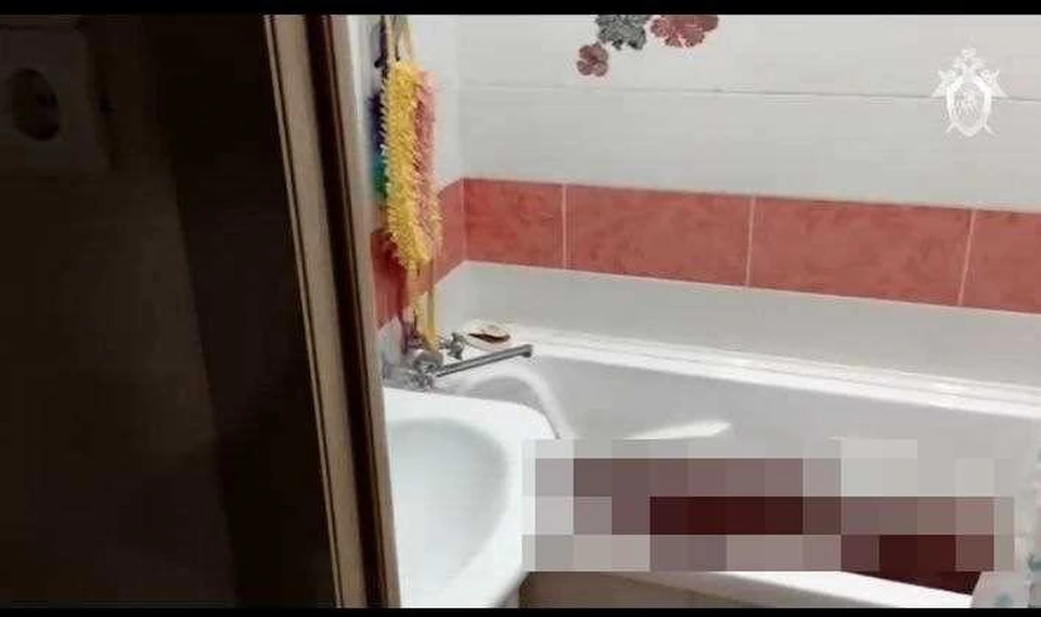 В Ульяновске главу семейства подозревают в жестокой расправе над супругой и двумя дочерями | ФОТО: скриншот с видео