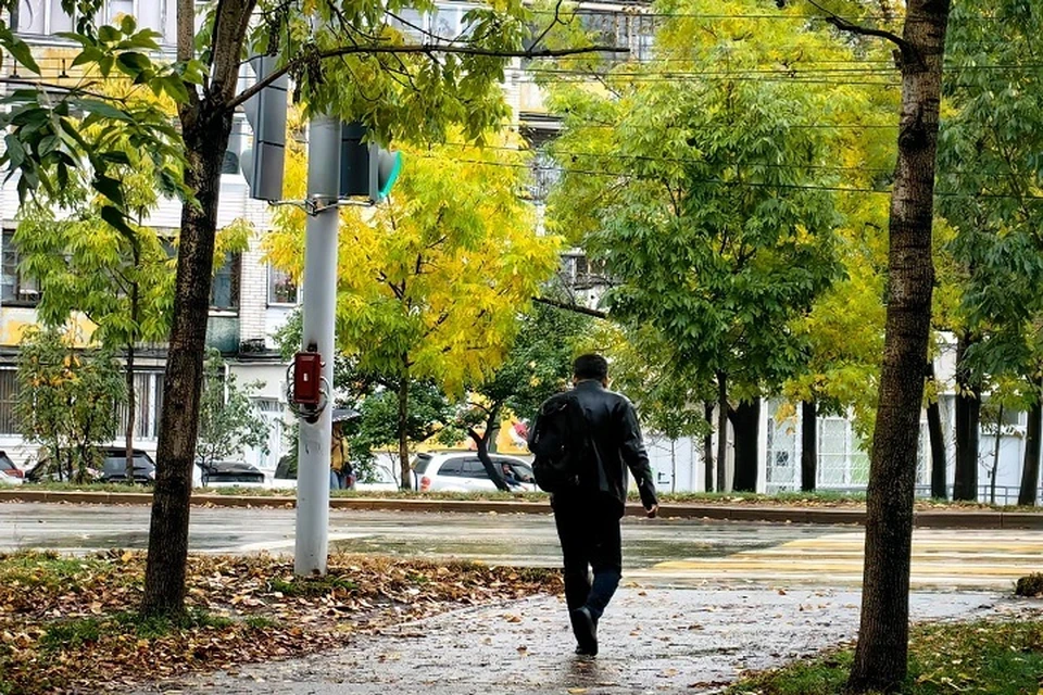 Возмущения магнитосферы займут больше половины месяца