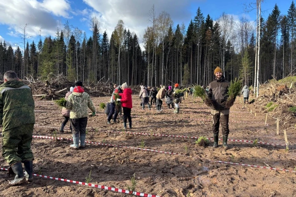 Фото: пресс-служба краевого правительства