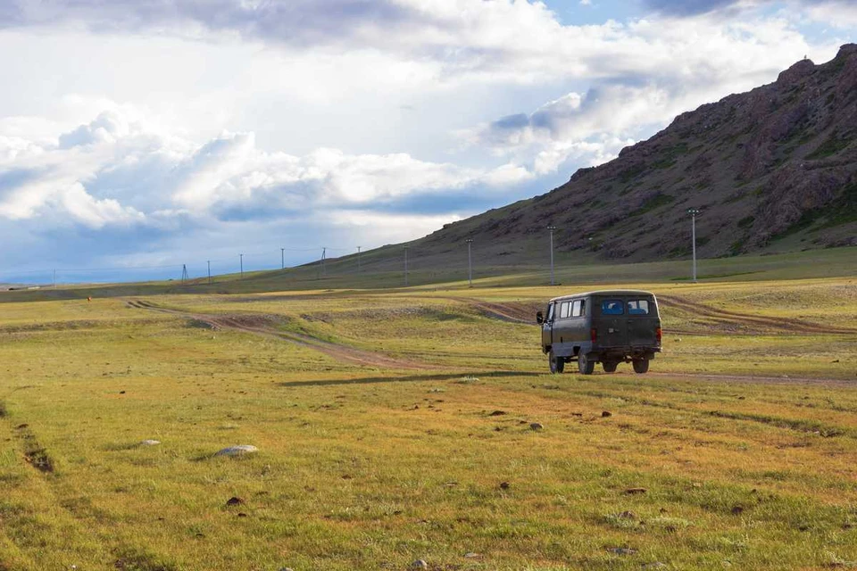 Путешествия с питомцами. Al.geba / Shutterstock.com / Fotodom
