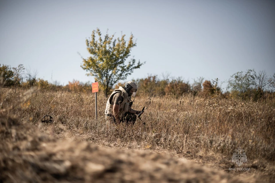 Обошлось без жертв и пострадавших. ФОТО: МЧС России