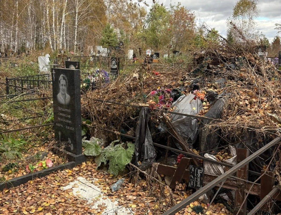 Фото: телеграм-канал «Новости Омска. Жесть»