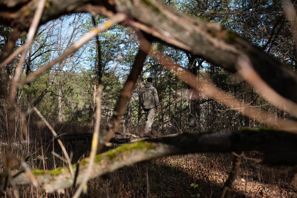 На Камчатке ищут туристов, уехавших в лес на автомобиле и не вернувшихся в срок.