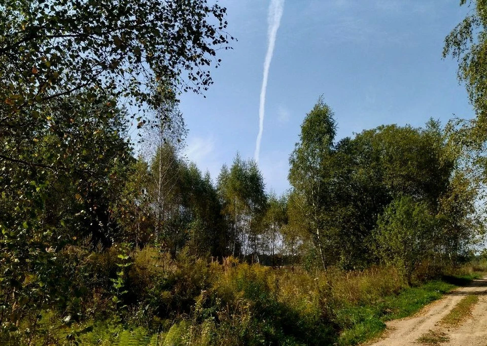 В Малоярославецком районе сбитый дрон повредил секла в жилом доме.