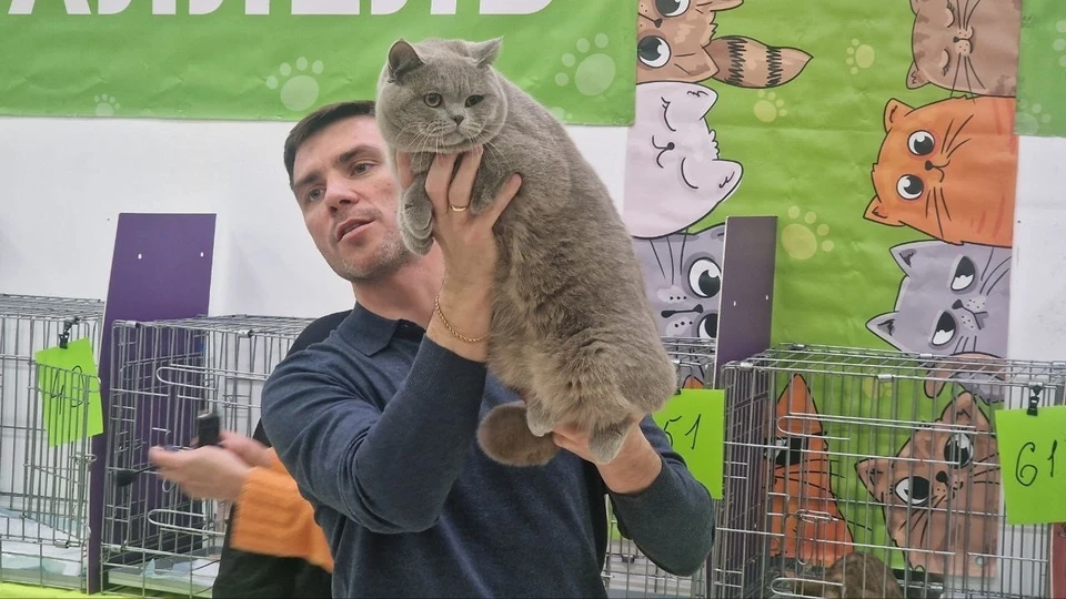 Всех питомцев тщательно проверяли на породистость.