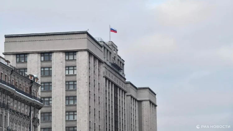В Госдуме прокомментировали суд о запрете АНО "Евразия" в Молдавии