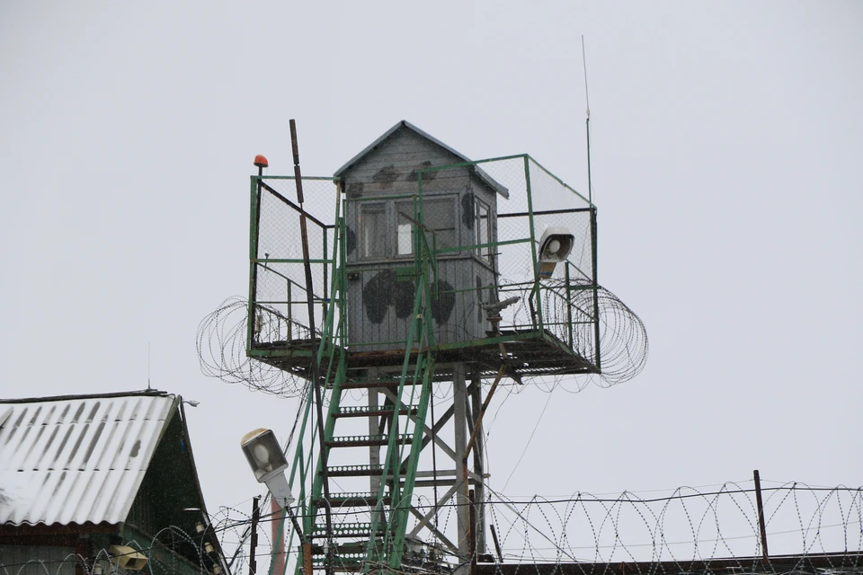 Вероятно, рецидивиста ждет 13-я судимость