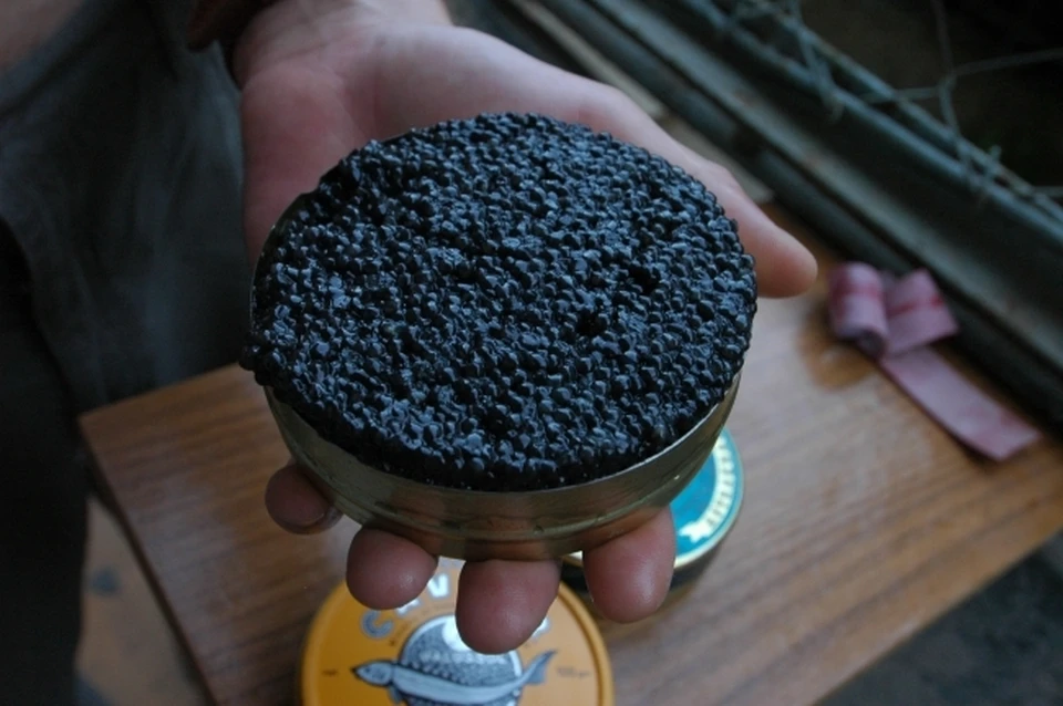 В Николаевском районе изъяли более 300 контейнеров с черной икрой