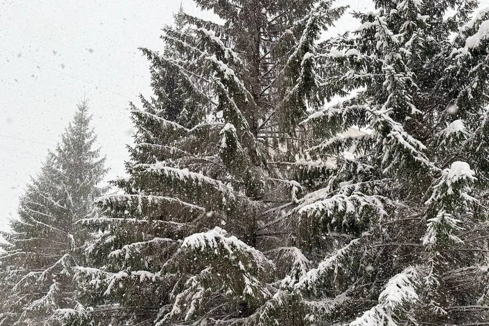 В Новосибирской области ожидается мороз до -14 градусов.