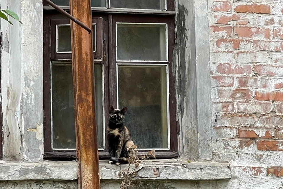 Аварийное жилье в ЛНР
