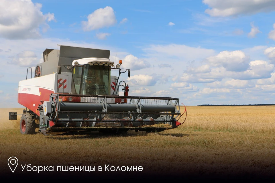 Фото пресс-службы губернатора и правительства Московской области