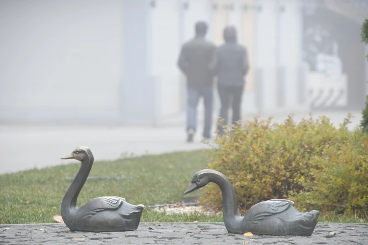 Под натиском циклона: погода в Тульской области 11 октября