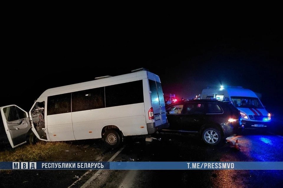 МВД сообщило подробности аварии с шестью погибшими под Светлогорском. Фото: МВД.
