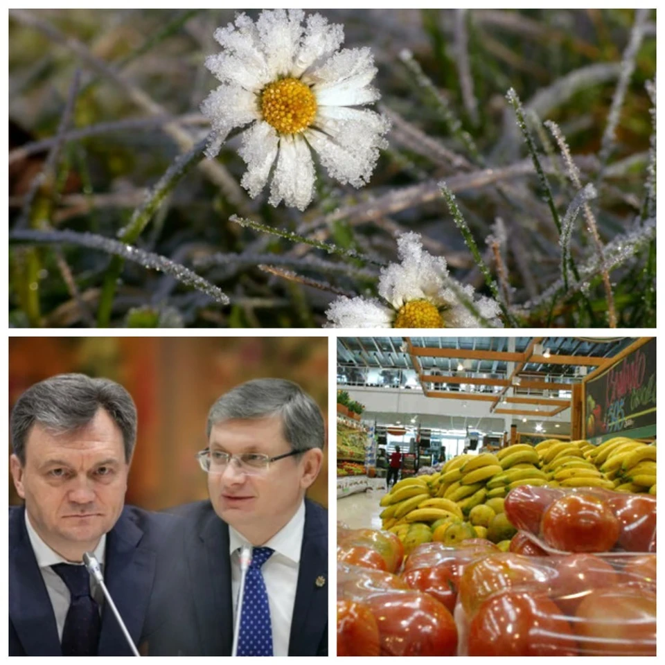 Главные новости в Молдове.