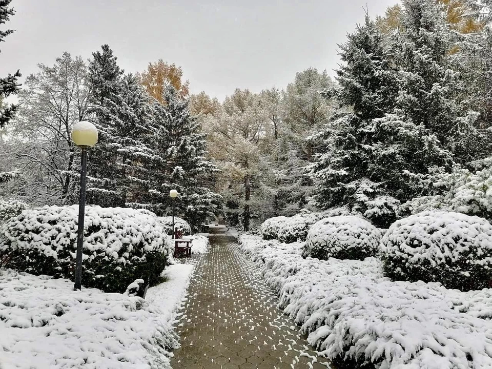 На снимке: Дендросад им. Г.И. Гензе. Фото: пресс-служба БУ Омской области «Управление по охране животного мира»