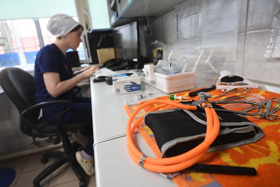 Врачи оказывают пострадавшему псу медицинскую помощь.