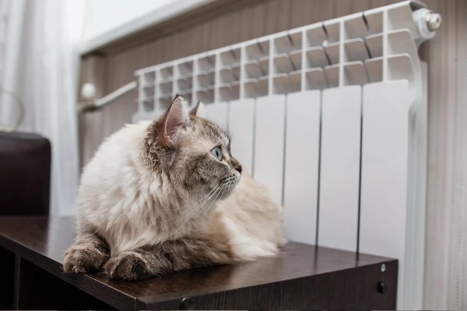 В прошлом году батареи потеплели 18 октября