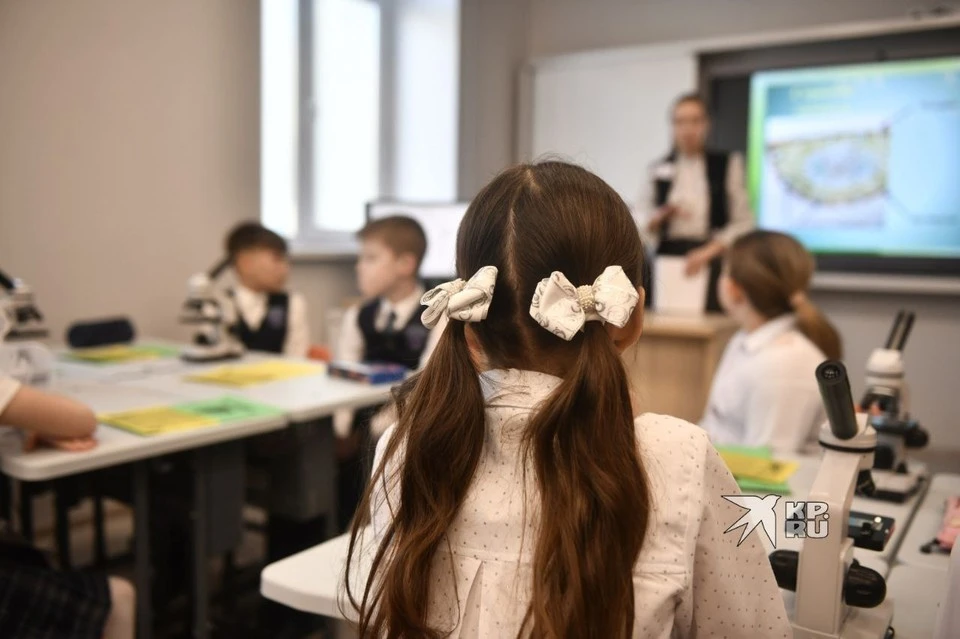 В Госдуме хотят ввести налоговую льготу для школьных репетиторов