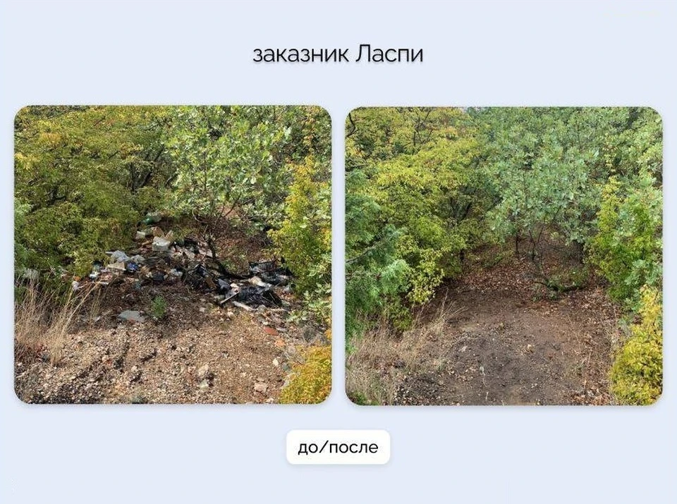 Доброе дело дало результат. Фото: spn.sev.gov.ru