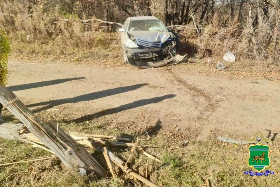 В Октябрьском районе ЕАО водитель на «Тойоте» врезался в опору ЛЭП Фото: полиция ЕАО