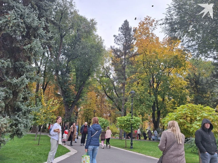 В Молдове в выходные будет не до пикников: В субботу - дождь, в воскресенье днём похолодает до +9