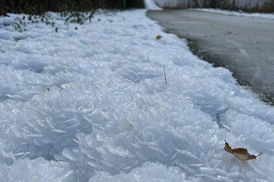 Фото: тг-канал ЧП Нижневартовск