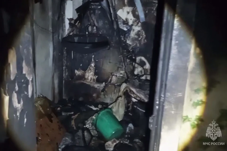 О пострадавших не сообщается. Фото: скриншот видео МЧС Удмуртии