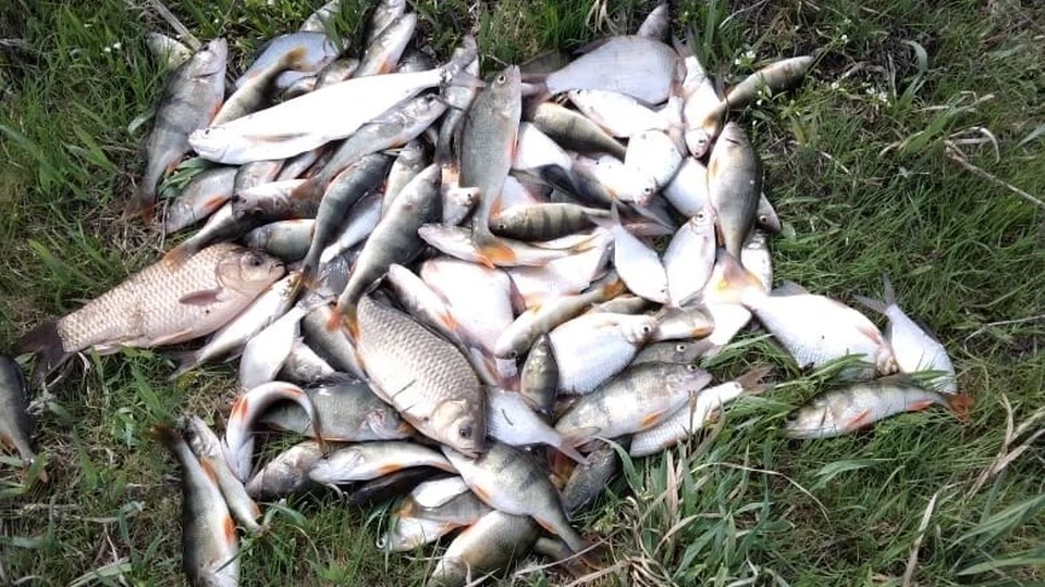 Специалисты отдела водных ресурсов пояснили, что официальных обращений по этой проблеме не поступало