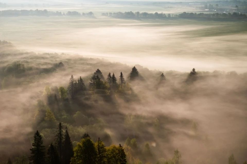 В Пермском крае 22 октября ожидается туман