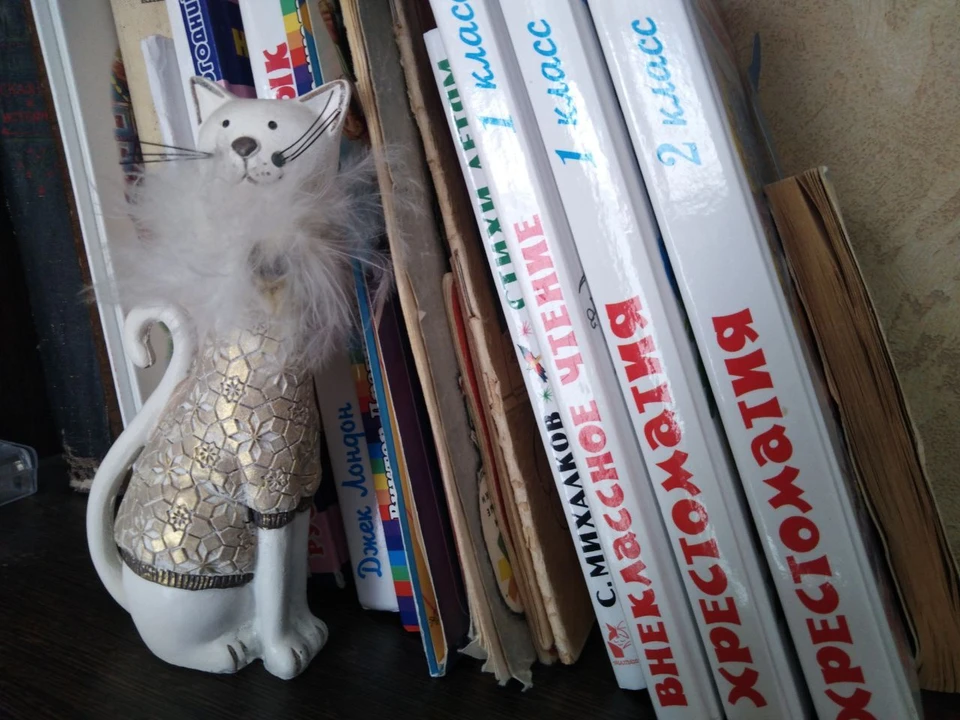 Фото Елены Федяшевой