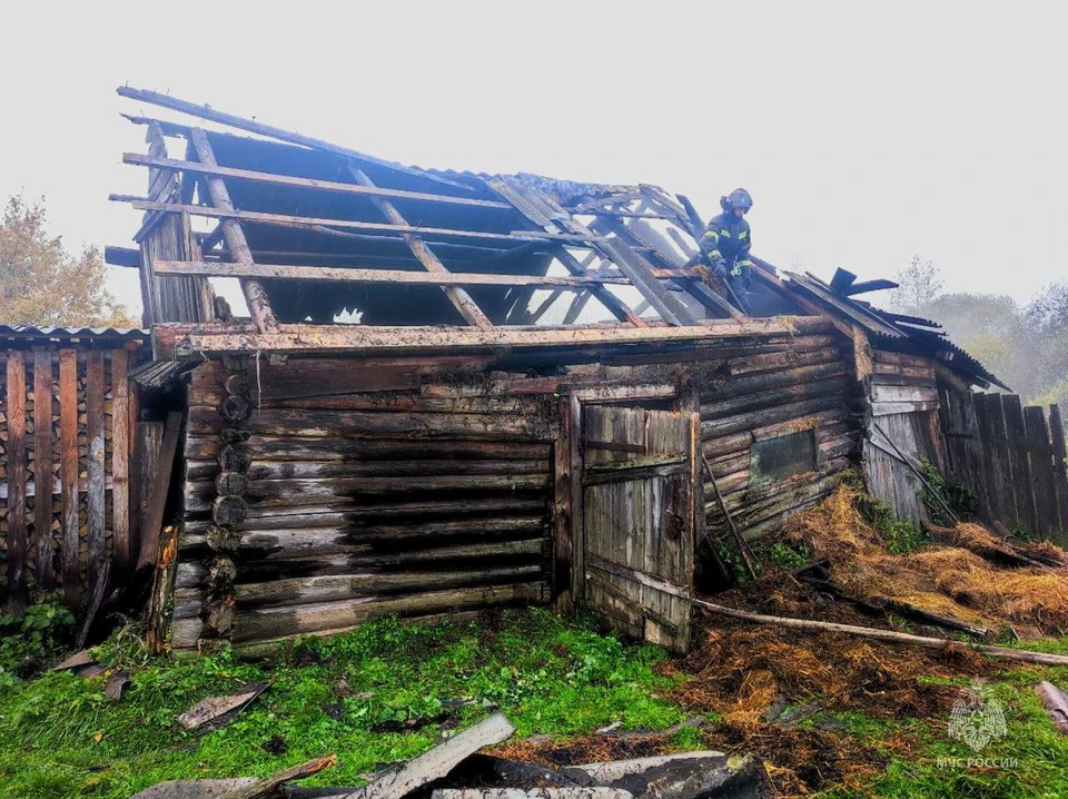 Фото: ГУ МЧС России по Псковской области.