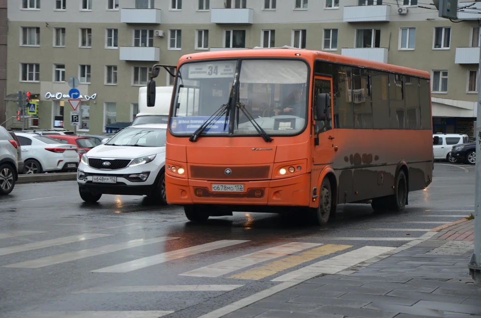 Блогер Шендерович назвал переполненный транспорт минусом Нижнего Новгорода.