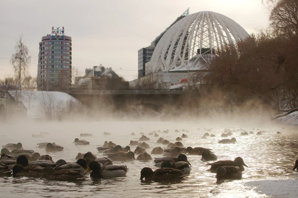 Строительство туннеля под Исетью перенесли