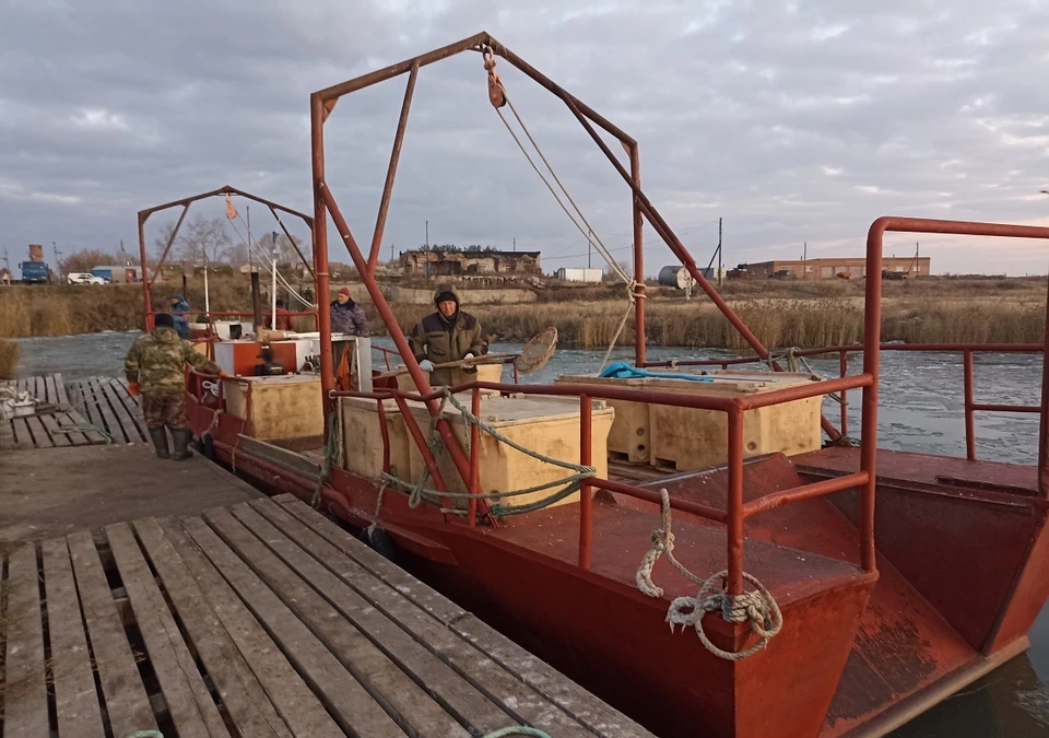 Новосибирская область увеличила поставки рыбной продукции за рубеж. Фото: правительство Новосибирской области