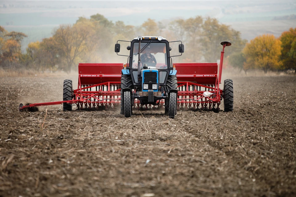 Несоблюдение регламента выявили во время проверки