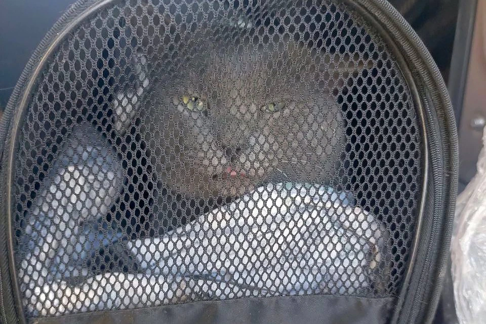 Фото: Департамент транспорта администрации Перми