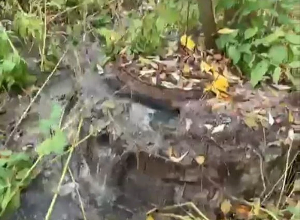 Жители Калужской области сигнализируют о загрязнении реки стоками.