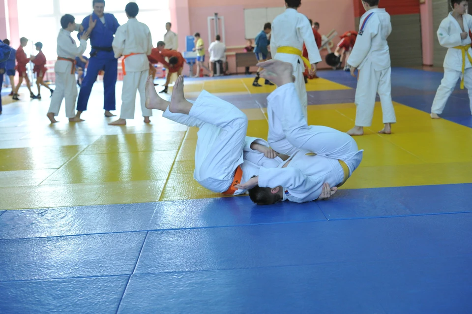 Мэр Кудрявцев поздравил новосибирских самбистов с победой на Первенстве мира