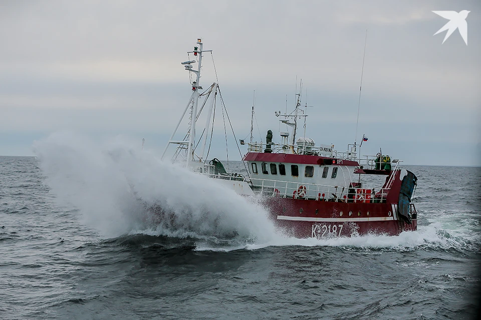 За выявленные нарушения требований охраны труда юрлицо привлекли к административной ответственности по частям 1 и 3 статьи 5.27.1 КоАП РФ.