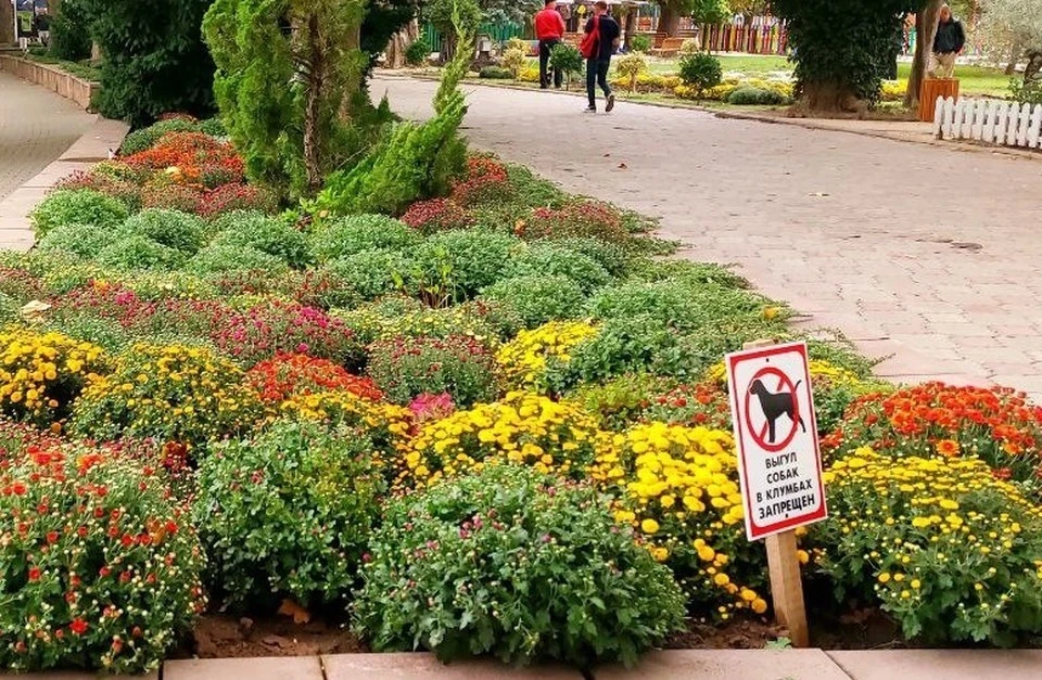 Фото: пресс-служба администрации Симферополя