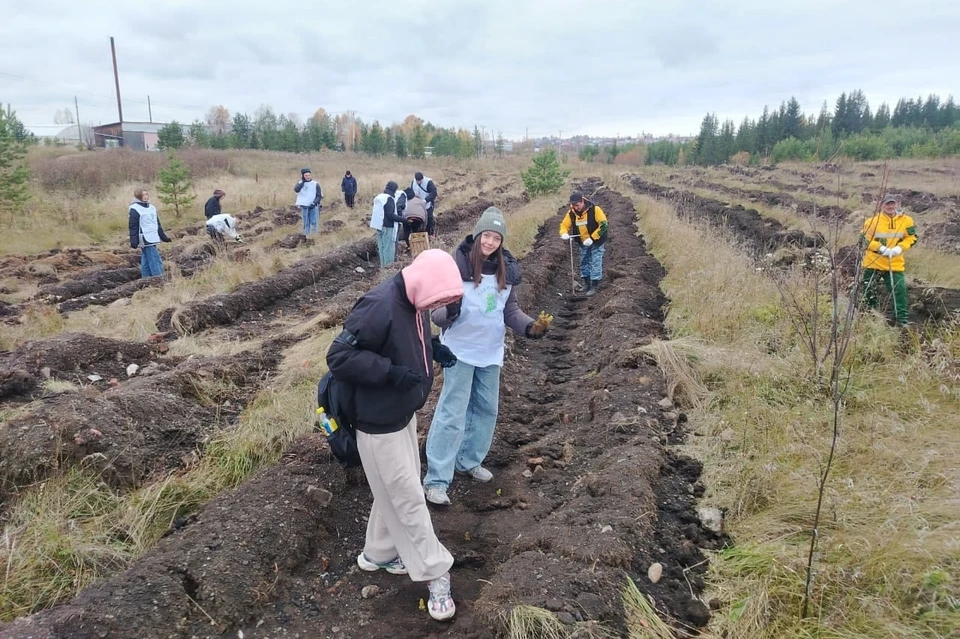 Фото: пресс-служба министерства природных ресурсов и лесного комплекса Красноярского края
