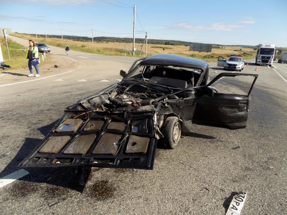 Фото: УМВД России по Смоленской области.