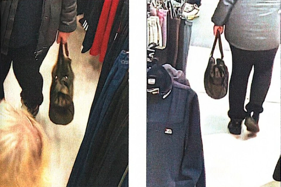 Искусственный интеллект по фото сумки доказал кражу. Фото: пресс-служба мирового суда