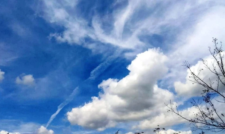 Над Калужской областью сбили четыре вражеских беспилотника.