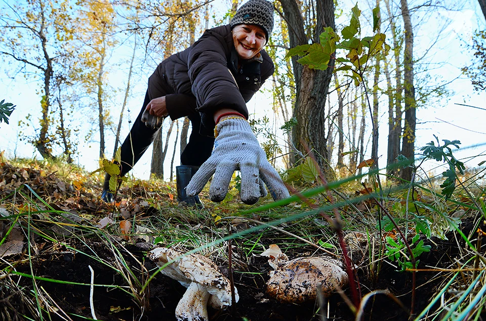 «Продавцы» оценивают информацию с «грибными точками» в среднем в 700 рублей.