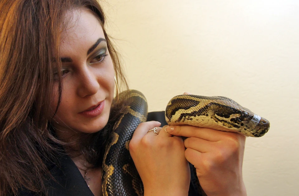 Не все заводят котиков и собачек. Некоторым по душе более хладнокровные домашние любимцы