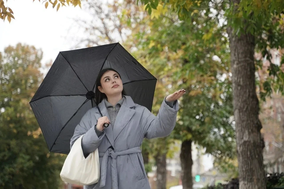 В регионе прошел мокрый снег