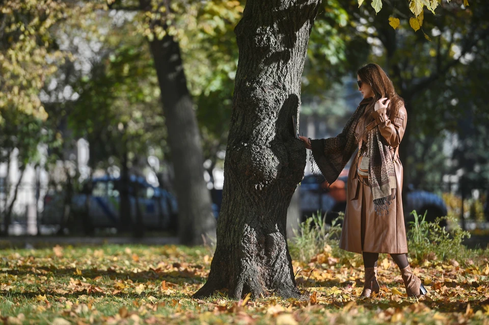 К началу следующей недели на Южном Урале потеплеет до +14