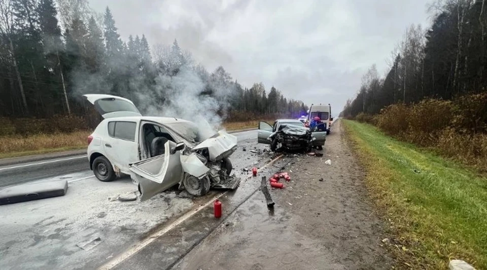 Фото предоставлено читателем портала "КП в Костроме"